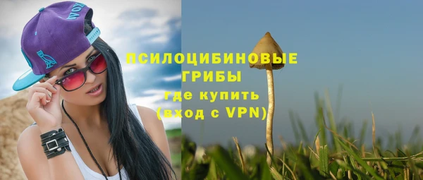 спиды Михайловск