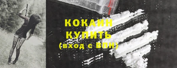 соль ск Михайлов