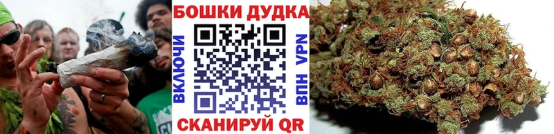 как найти наркотики  МЕГА tor  Бошки Шишки Ganja  Суровикино 